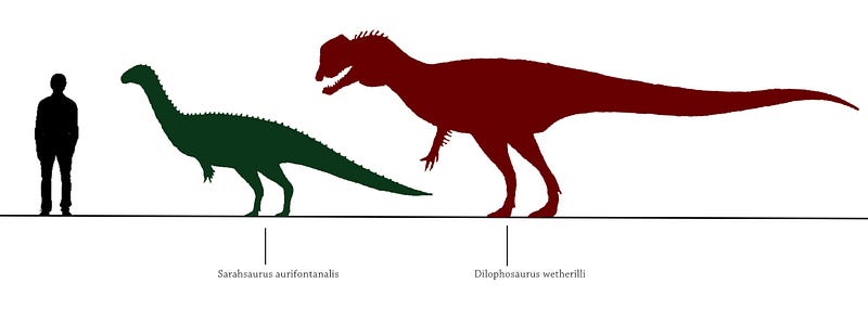 Dilophosaurus fossil skeleton