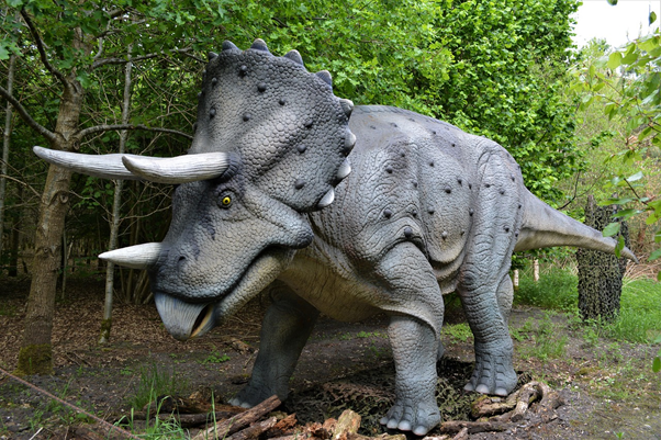 A Triceratops, captivating children's imaginations