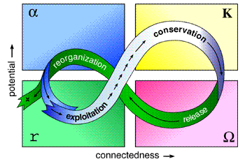 Illustration of the K phase in the Panarchy model