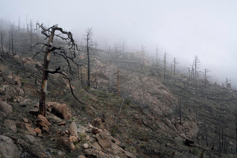 The changing landscape of California's coastline