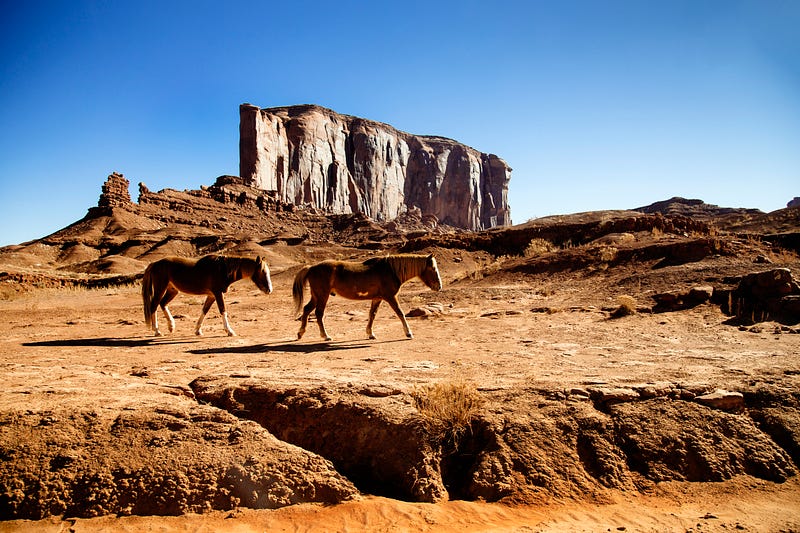 Wild horses embodying the spirit of the American West