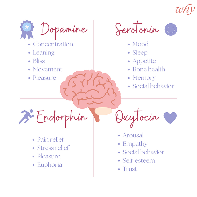 Hormones and Happiness Recap