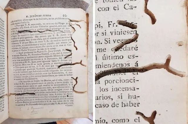 Historic book damaged by insect larvae.