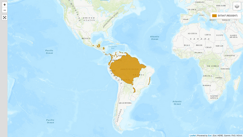 Harpy Eagle distribution map