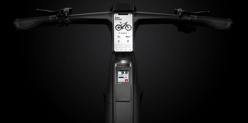 ST7 E-Bike Display