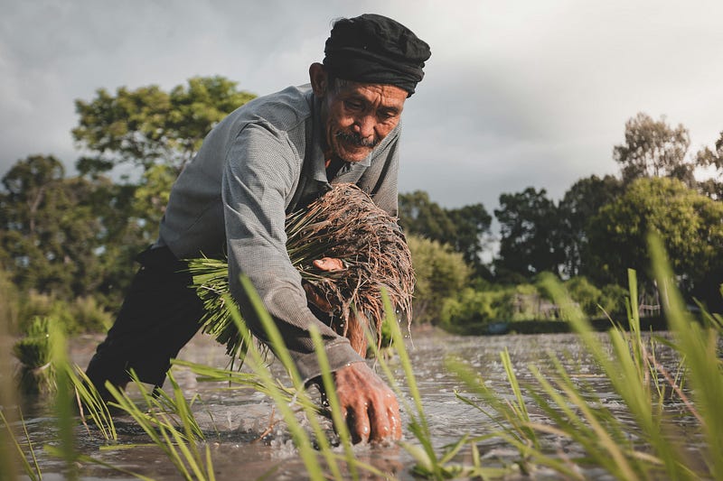 Farmer Mental Health Resources