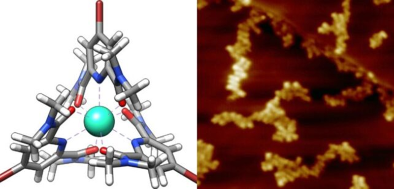 Terbium Supramolecular Assembly Schematic