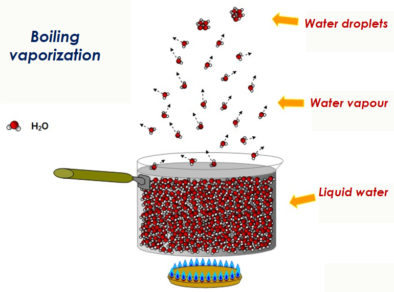 Diagram showing boiling water dynamics