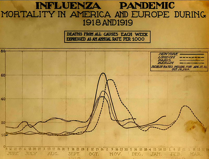 Image depicting the impact of the Spanish flu