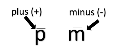 Addition symbol representation