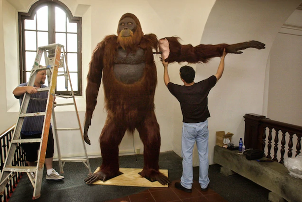 Fossil remains of Gigantopithecus Blacki