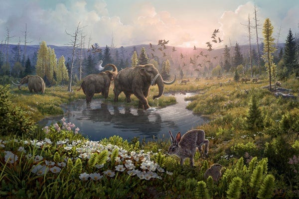 Reconstruction of the ancient Arctic ecosystem