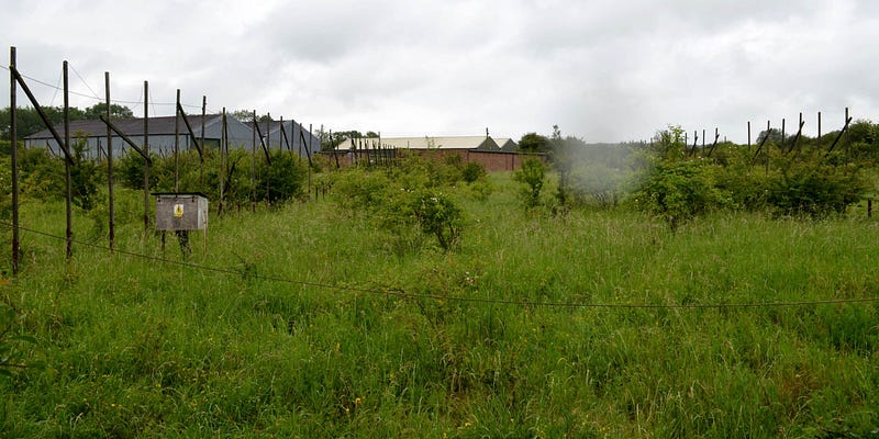 Remains of the Interplanetary Scintillation Array