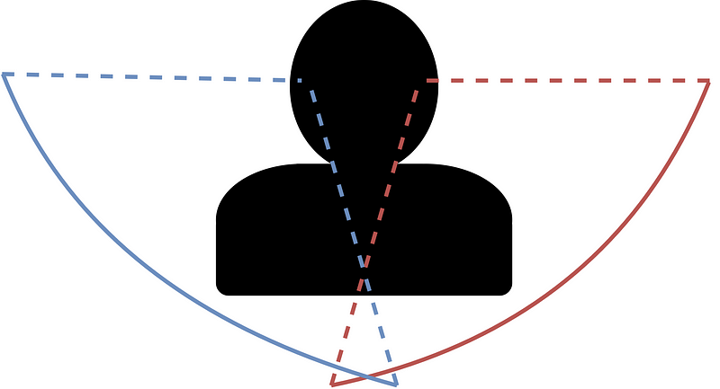 Visual comparison of the field of view between dogs and humans.