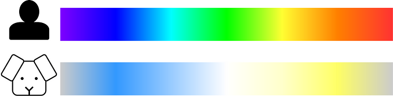 Illustrating the color spectrum as perceived by humans and dogs.