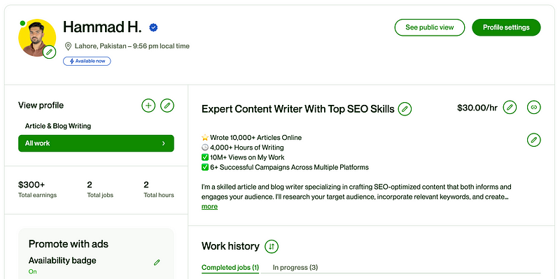 Author's Upwork profile showcasing professionalism