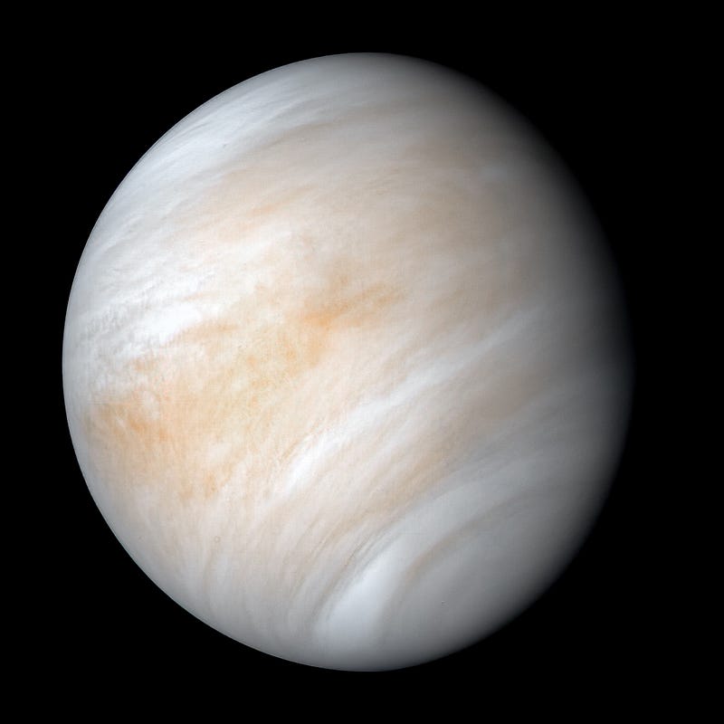 An image of Venus taken by NASA.